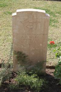 Ismailia War Memorial Cemetery - MacEy, Albert R.